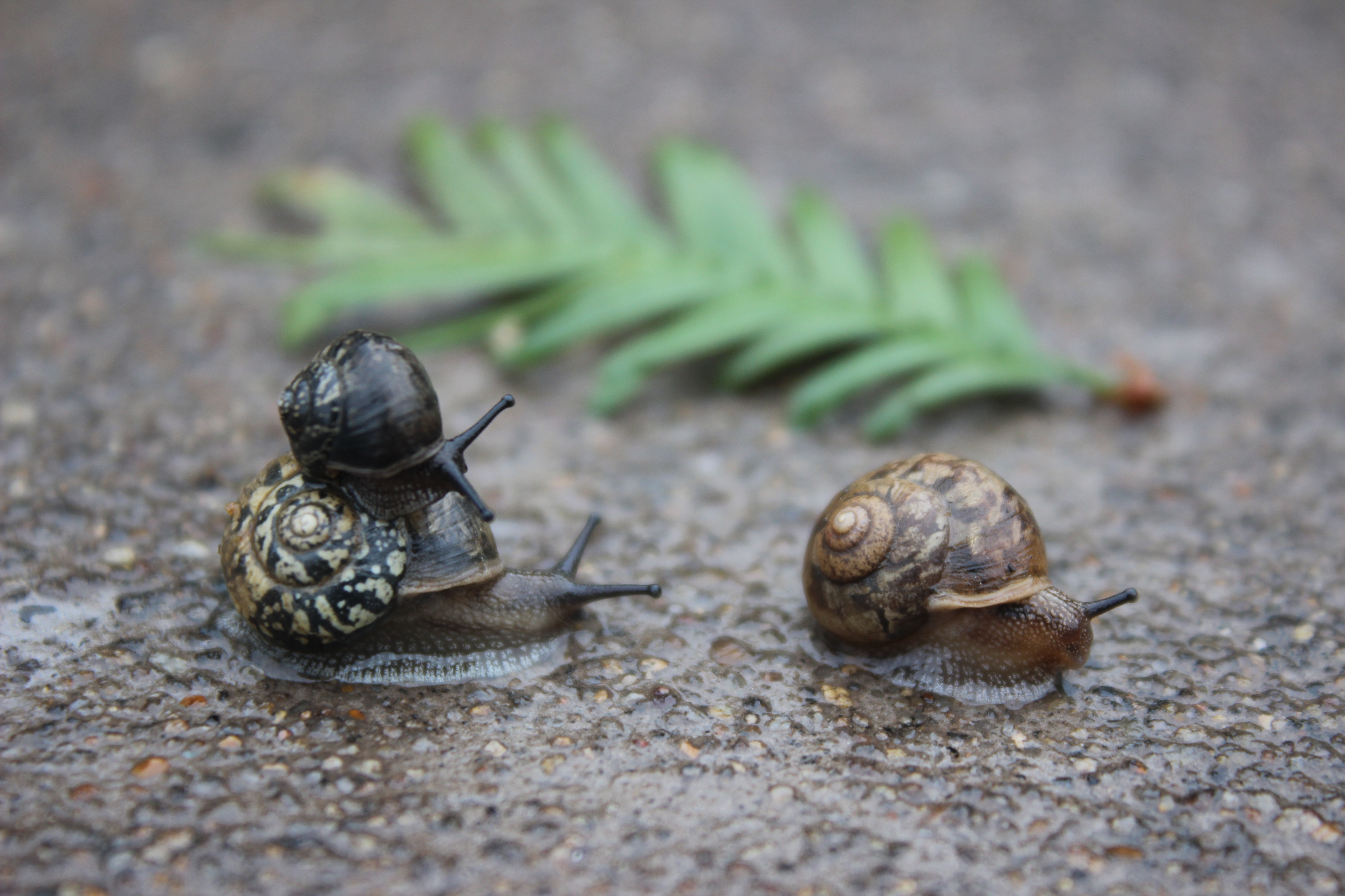 【攝影】爸爸，去哪？